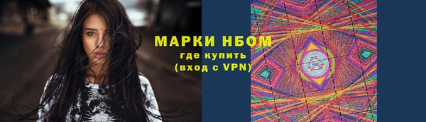 ПСИЛОЦИБИНОВЫЕ ГРИБЫ Абаза