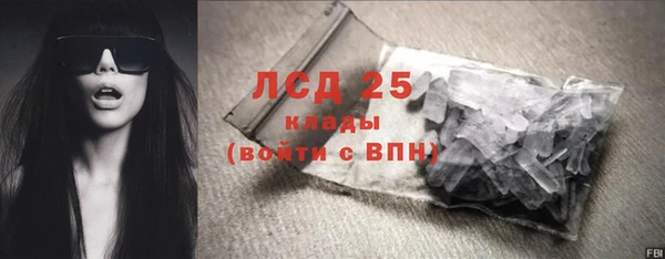 ПСИЛОЦИБИНОВЫЕ ГРИБЫ Абаза