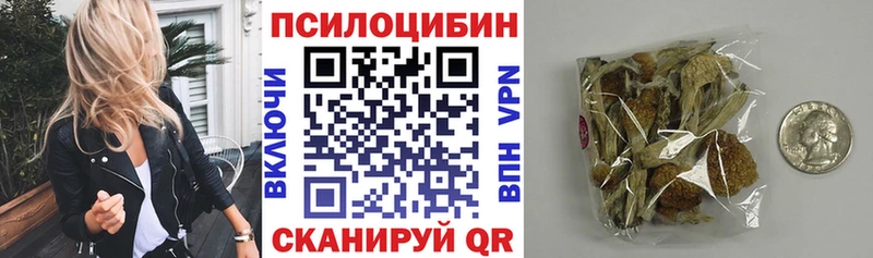 наркошоп Ленинградская Галлюциногенные грибы MAGIC MUSHROOMS